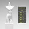 Accesorios de modelo de lencería plataforma de medio cuerpo para mujer push up sujetador ropa pleural de hombre expositor de tienda de ropa cuerpo completo