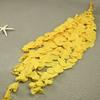 Flor mágica Flor eterna Folhas de eucalipto 100g / pacote Dia dos Namorados diy Material Vaso doméstico Material artesanal