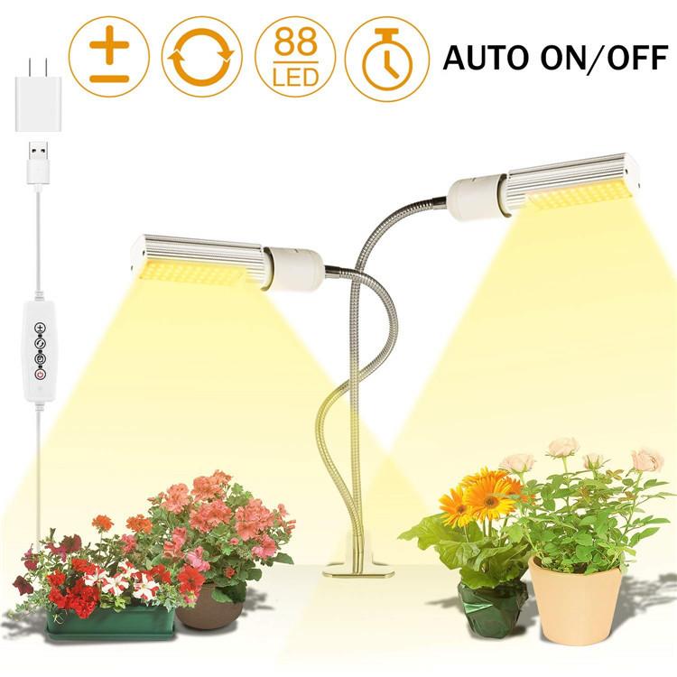 71rEYJogZoL._SL1500_