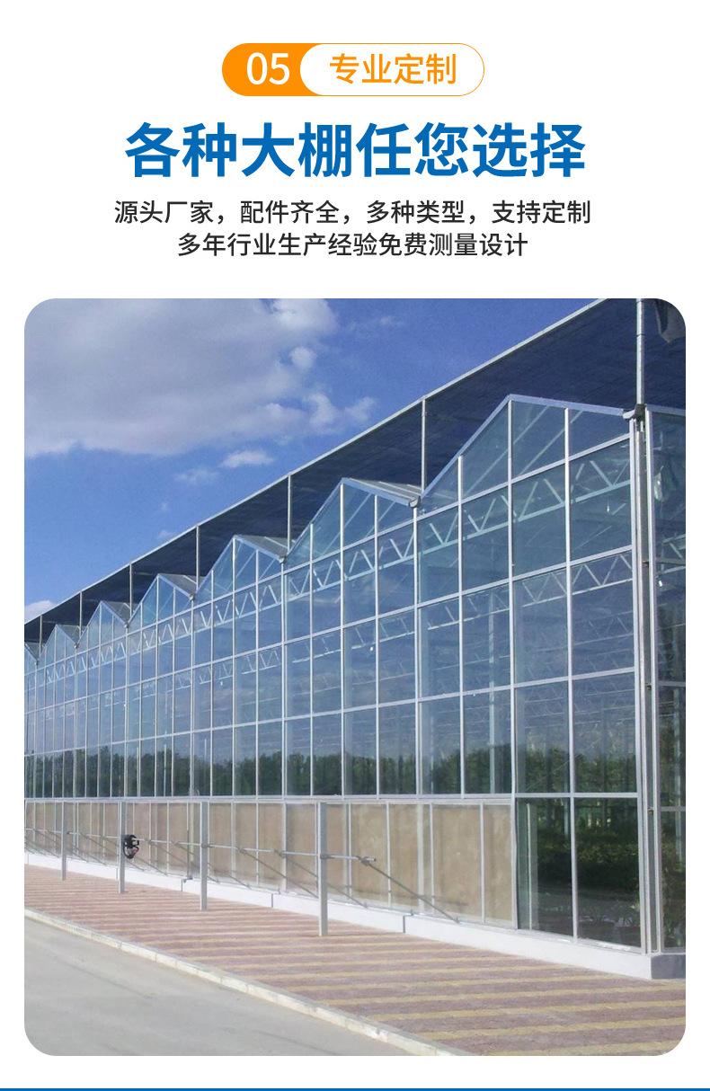 玻璃温室大棚_08.jpg