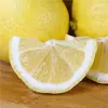 Limón Amarillo Anyue de Sichuan, al por mayor piezas de 1/2/3/ 2.5 kg, limones grandes frescos de pulpa amarilla para uso comercial en tiendas de té con leche