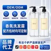 Shampoo Perfumado com Aroma de Frésia, Anticaspa, Fragrância de Longa Duração, Personalizado OEM/ODM por Fabricante de Processamento OEM/ODM
