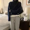 Roupas femininas de alta qualidade de Dongdaemun, Coreia do Sul: Jaqueta de fleece com zíper e gola alta meia-manga estilo coreano outono/inverno para mulheres