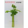 Modelo de Verdura Simulada Lechuga Falsa Repollo Brócoli Hojas Verdes Hojas de Shanghái Modelo de Gabinete Decoración para Casa