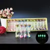 Botella de deseos pequeña constelación, venta al por mayor, regalo creativo pequeño, botella a la deriva, mini botella de deseos, botella de vidrio pequeña, madera