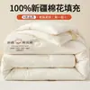 Colcha antibacterial de algodón puro 100% algodón de Xinjiang Clase A, núcleo de colcha de invierno, colcha de primavera y otoño para dormitorio estudiantil, adecuada para todas las estaciones