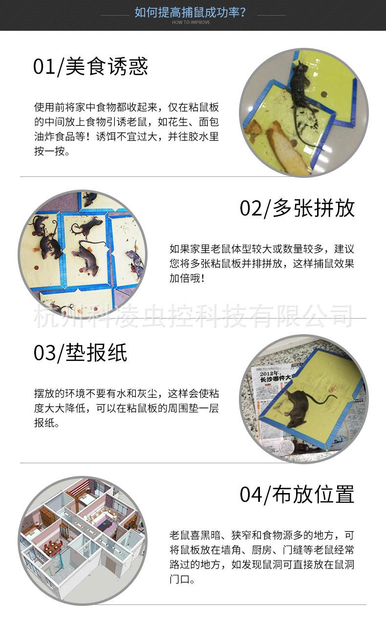 粘鼠板1_10.jpg