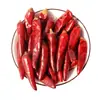 Selección Completa de Especias y Condimentos, Combinaciones Elegidas por Uno Mismo, Hojas de Laurel Pequeñas, Hierbas de Uso Doméstico, Angélica Blanca, Adobo Seco, Condimento para Carne, Semillas de Anís