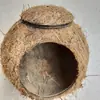 Cáscara de coco de gran diámetro de 14 a 16,5 cm Nido de pájaro nido de cría cálido para pájaros (sin franqueo)