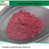 Extrato de sorbus de costela de glândula de fruta preta 25% antocianinas 100g pacote pequeno pó de sorbus de costela de glândula de fruta preta em estoque