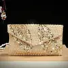 Bolsa Envelope Plissada Europeia e Americana de Moda Transfronteiriça, Bolsa de Mão Elegante para Vestido de Noite, Bolsa de Festa para a Noite, Bolsa de Banquete para Senhoras