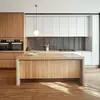 Guangdong Exporta a Canadá, Fabricantes de Personalización para Toda la Casa Exportan Gabinetes y Armarios de Chapa de Madera Pintada, Fábricas de Exportación Hechas a Medida
