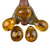 Transfronterizo Forma de Gota Tendencia Natural Insecto Especimen Phalaenopsis Caja Sorpresa Excavación Infantil Puesto Arqueológico Corriendo Jianghu