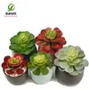 Simulación gran Baolian suculenta tacto de goma suave planta plástico material de decoración floral maceta de césped artificial tridimensional 3D
