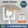 Panel Internacional de Enchufe e Interruptor Eléctrico Toma de Pared Doméstico Oculto 86 Oro Champán Panel Grande Tres Orificios