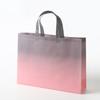 Bolso de mano no tejido en stock película Bolsa no tejida tienda de ropa bolso película bolso bolsa de compras