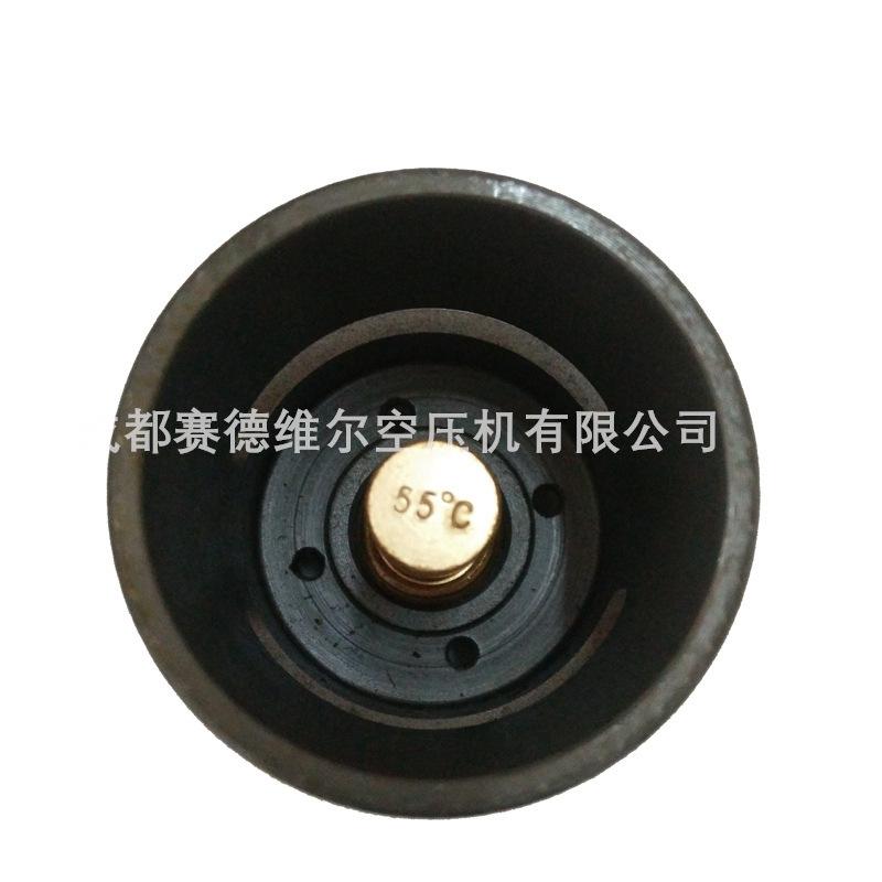 2901006900阿特拉斯空压机温控阀芯 (3)