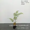 Cabeça de macaco dourado simulada Samambaia samambaia peluda planta verde em vaso sala de chá Pátio paisagismo Zen Chinês Novo decoração de planta artificial