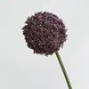 Flores de Cebollín Artificiales, Bolas de Flores Falsas, Arreglos Florales de Plantas Verdes, Dientes de León, Flores Decorativas para Sala de Estar en Casa, Flores Falsas, Flores de Mesa, Decoraciones de Boda