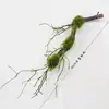 Musgo verde trepadeiras de árvores plantas verdes trepadeiras de musgo galhos trepadeiras cenário de paisagismo de engenharia ambientação decoração espuma espessa trepadeiras secas