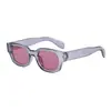 Gafas de Sol Rectangulares Retro de Marco Pequeño Raine para Hombres y Mujeres, Estilo Europeo y Americano, Esenciales Simples para Fotografía Callejera, Elegantes Gafas de Sol para Proteger del Sol