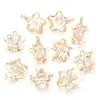 Acessórios de Zircônia em Liga Metálica Pulseira DIY Feita à Mão Colar Pingente Flor de Ameixa Estrela de Cinco Pontas Pingente em Forma de Coração Acessórios de Joias