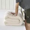 Colcha de algodón de Xinjiang, núcleo de colcha de algodón puro para todas las estaciones, colcha de primavera y otoño, engrosada para estudiantes, acolchado de algodón de 5 kg, núcleo de algodón al por mayor