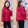Chaqueta Corta de Algodón para Mujer para Otoño e Invierno, Nueva Chaqueta Ligera de Algodón Cálida Ajustada, Chaqueta de Algodón Acolchada Versátil de Moda para Tallas Grandes