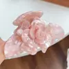 Pinza para el Cabello de Doble Flor de Gama Alta con Hermosa Textura de Acetato, Pinza de Tiburón Tridimensional, Pasador Súper de Ensueño Sencillo, Accesorio para el Cabello para Mujeres