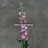 Decoração de flor artificial Andorinha Voando flor única de casamento adereços de flor artificial Jacinto Artificial Andorinha Grande Violeta