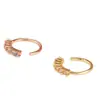Anillo de Nariz Abierto de Cobre Microincrustado de Circonita Súper Brillante Estilo Europeo y Americano Transfronterizo Personalizado de Moda Fresco Perforación de Nariz Anillo de Nariz Perforado Uña de Nariz Perforada de Moda
