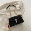 Bolso Femenino Casual, Sencillo y de Estilo Occidental con Cadena, Bolso Cuadrado Pequeño, Nueva Tendencia Otoño e Invierno 2025, Moda a la Moda, Nicho, Bolso de Hombro Único, Bolso Cruzado