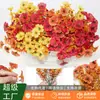 Flores Simuladas de Otoño de Amazon 7 Horquillas 35 Mallas Eucalipto de Otoño Violeta Flores Artificiales Flores de Eucalipto Venta Directa de Fábrica
