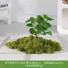 [Serie Huair de Tres Caracteres] Musgo Artificial Simulado Bonsái Planta Verde Decoración Arreglo Exhibición de Ventana Bonsái