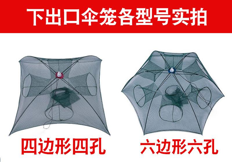 未标题-1_01.jpg