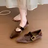 2026 Nova Coleção Primavera Cedo Sapatos Mary Jane Femininos de Tira Única Salto Baixo Grosso Bico Quadrado Bico Fino