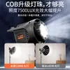 Suplemento de luz âncora beleza luz especial estúdio fotográfico interno vídeo ao vivo bola de luz suave projeção profunda luz sempre brilhante