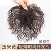 Aplique de Cabelo para o Topo da Cabeça, Cacheado tipo Milho, para Mulheres de Meia-Idade e Idosas, para Cobrir Cabelos Grisalhos, Aumentar o Volume do Cabelo, Adicionar Volume, Aplique de Cabelo Cacheado Invisível e Sem Costura para Mulheres