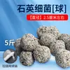 Mídia filtrante para aquário casa de bactérias material filtrante para lago de peixes filtro de fundo de aquário anel cerâmico carvão ativado osso de coral rocha vulcânica