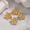 Brincos Estrela Bicolores Texturizados em Aço Inoxidável Transfronteiriços Estilo Europeu e Americano Ouro 18K Brincos de Alta Qualidade que Preservam a Cor para Mulheres
