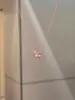 Colar Borboleta Pequena Rosa Diamante Criativo Popular do Xiaohongshu Cheio de Diamantes Corrente da Clavícula Alto Padrão Clássico Popular Versátil
