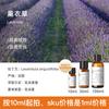 Aceite Esencial Puro de Aromaterapia Vegetal Importado Rosa Ylang Árbol de Té Incienso Naranja Lavanda Aceite Esencial de Aromaterapia
