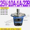 2520V Duplo 3525V Carregadores Tipo 4535V Lâmina Bomba de Óleo 20V3A-1A B C-22R 25V10A14