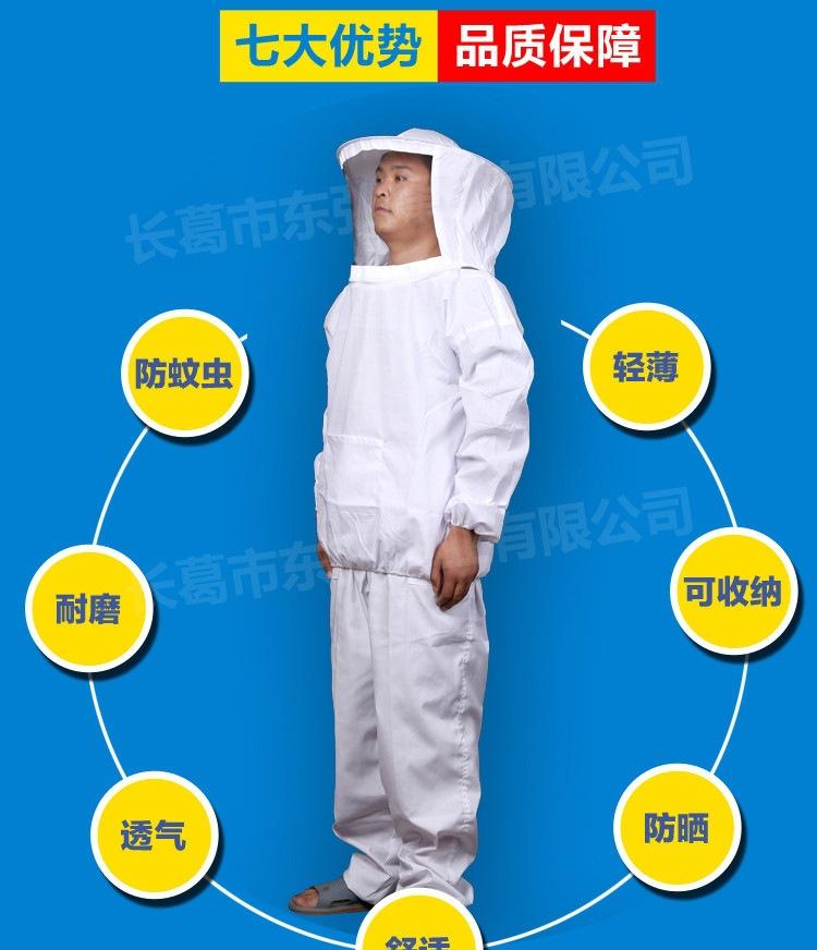 分体
