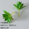 Uau Bonsai de Suculenta Artificial Personalizado Plantio Flocagem Acessórios de Suculenta Falsa Artificial Plantas Verdes DIY Decoração de Casa