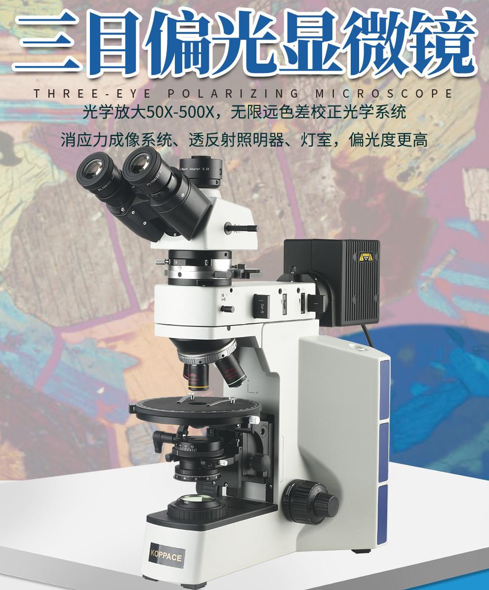 详情1.jpg