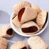 Materiales para Sonajero de Cáscara de Fruta Natural Llavero de Sonajero DIY Colgante para Bolso Accesorios Hechos a Mano para DIY Materiales para Carrillón de Viento