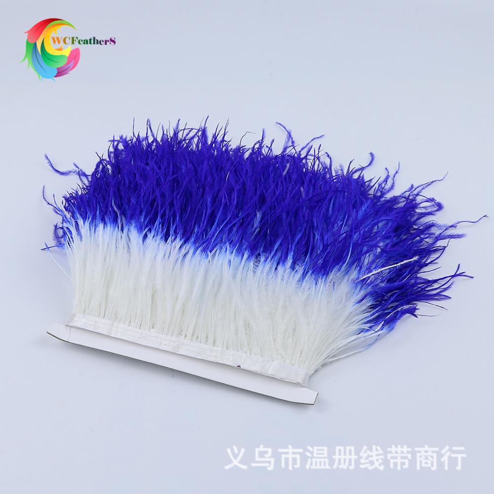 5 white and royal blue ostrich