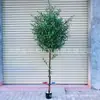 Simulação Árvore de Oliveira Planta Verde Bonsai Planta Grande Árvore de Vaso Falsa Decoração de Interior Nórdica para Chão Ornamentos