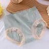 Encaje Elegante con Cintura Ancha y Elegantes Bragas Cómodas para Mujer Sin Marca Color Elegante Morandi Ropa Interior